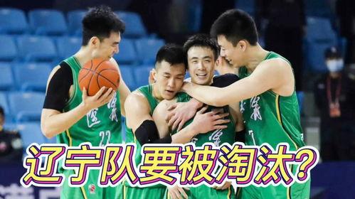 辽宁队最新爆料,揭秘球队备战新赛季的神秘计划