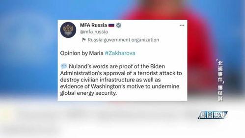 北溪事件爆料视频大全集,视频大全集深度解析